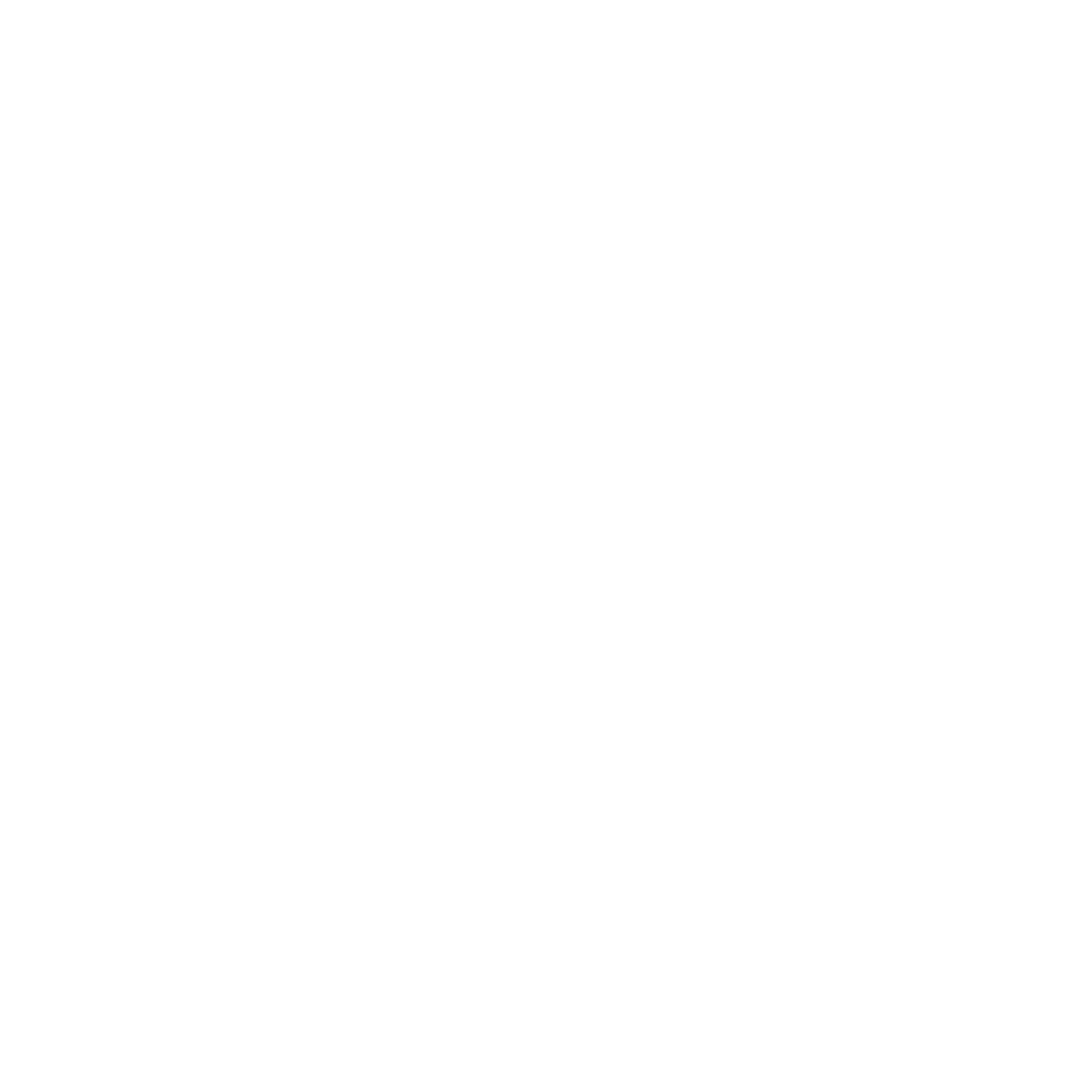 white instagram logo